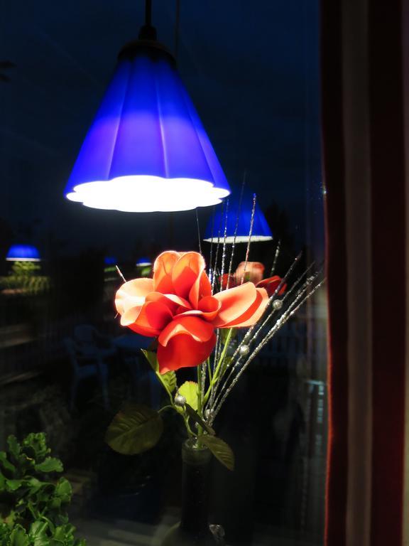 Dessans Cafe & Logi Hotel Pello Room photo